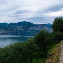Blick von Campo